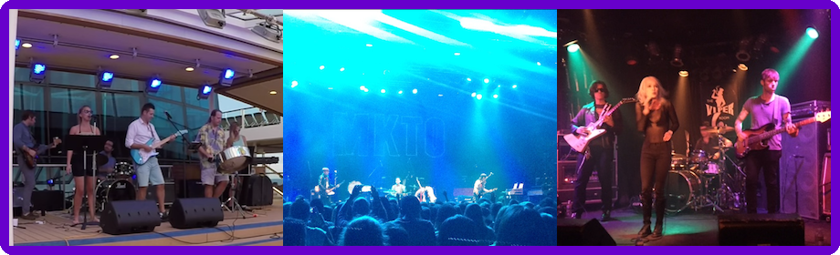 Max Goldman Bass Guitar Player California